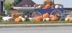 20260912_155039.jpg
